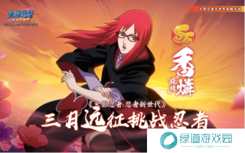 火影忍者忍者新世代2