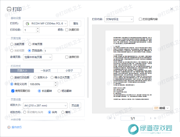 PDF 阅读器中的打印预览
