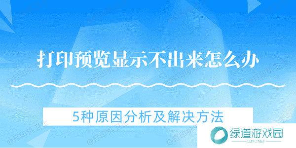 打印预览显示不出来怎么办 5种原因分析及解决方法