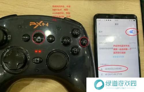 小鸡模拟器安卓版