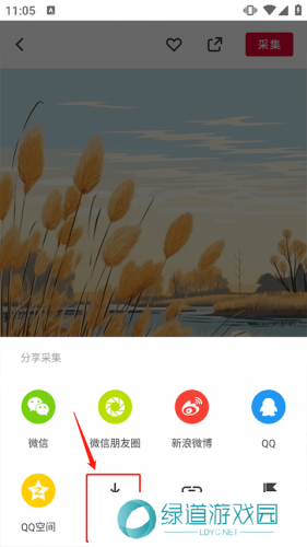 花瓣网免费素材图库