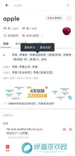 有道词典在线翻译
