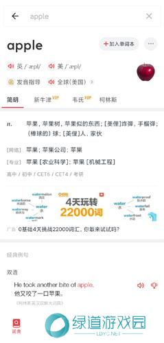 有道词典在线翻译