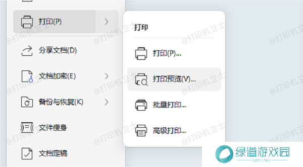 使用打印预览功能