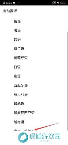 youtube中文翻译设置