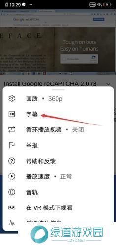youtube中文翻译设置