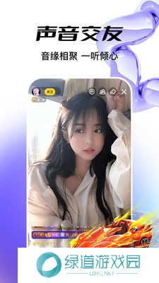 魅夜直播app下载安装