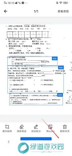 蜜蜂试卷免费版