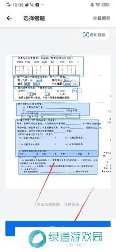 蜜蜂试卷免费版