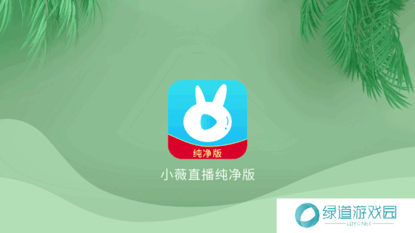 小薇直播纯净版