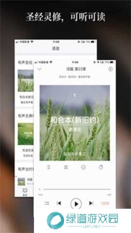 精读圣经2024免费版