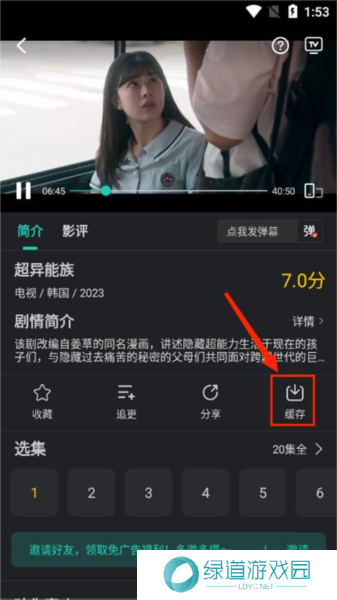 海鸥影评图片12