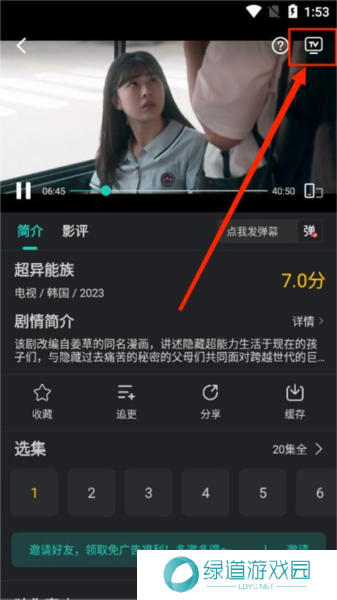 海鸥影评图片14